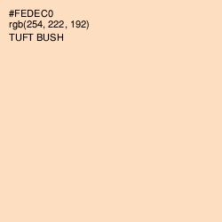 #FEDEC0 - Tuft Bush Color Image